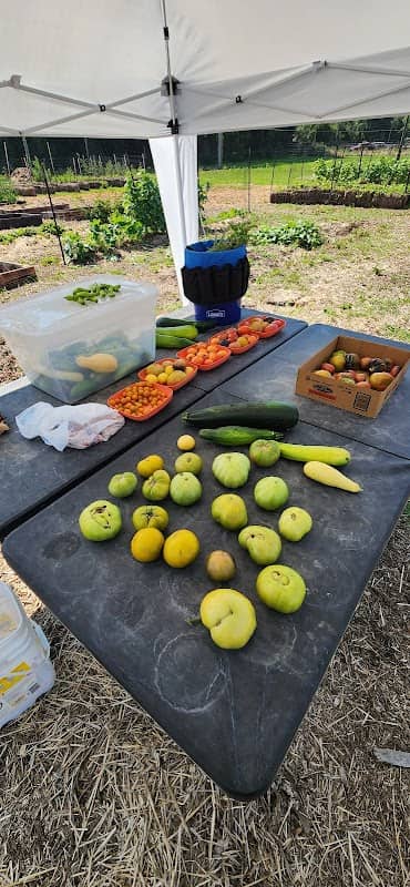 Cabot Community Gardens - Image 1