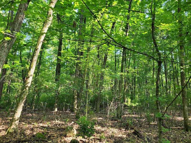 Jack Hughes Park Hiking Trail - Image 1