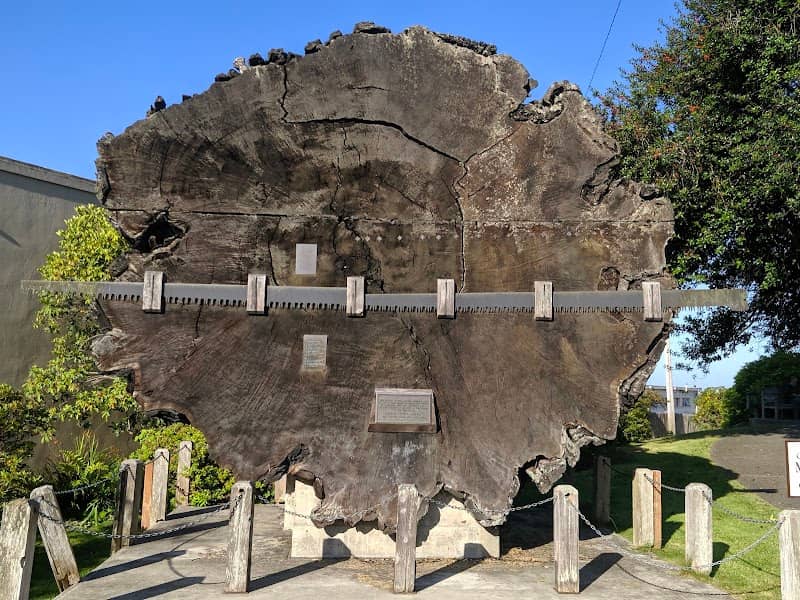 Guest House Museum - Image 2