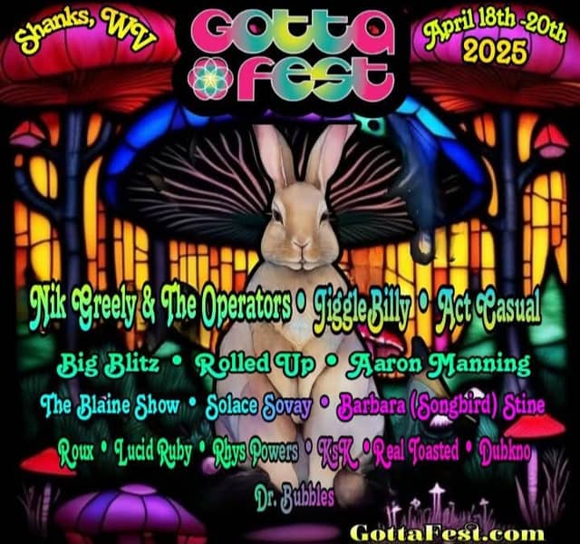 Gotta Fest - Image 1