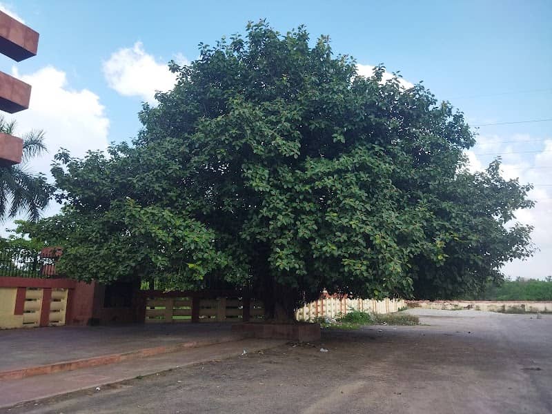Buddha Park, Indra Nagar - Image 1