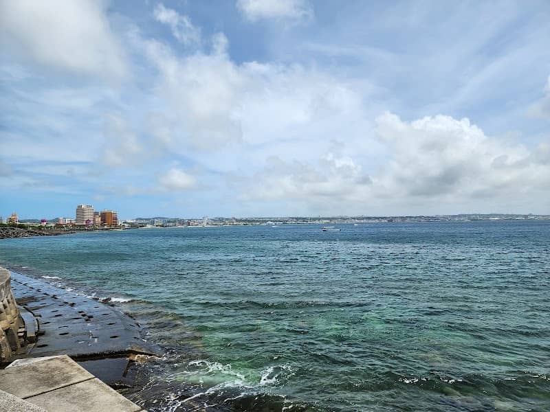 South Steps Dive Site - Image 2