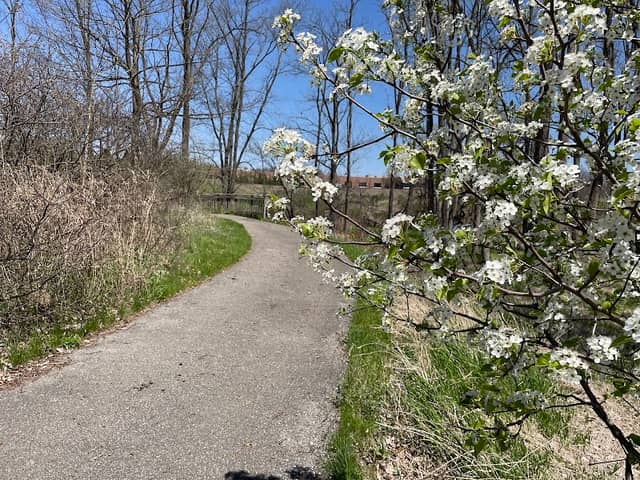 Nature Trail & Bridge - Image 3
