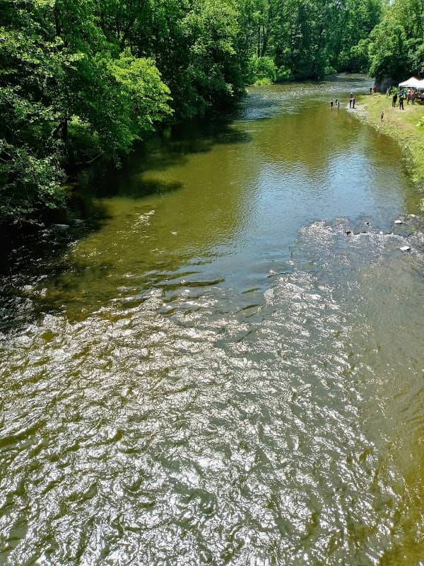 Roe - Jan Kill Park - Image 2