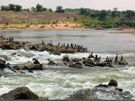 Sant Sarovar Dam - Image 1