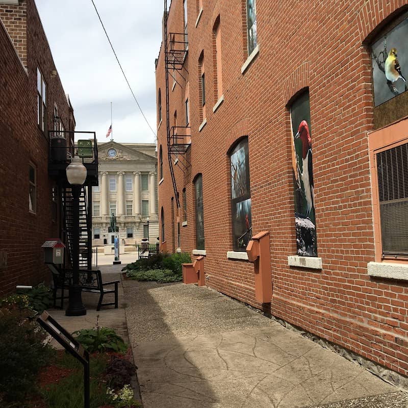 Sally's Alley - Image 1