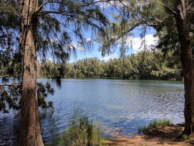 Wolf Lake Park - Image 2