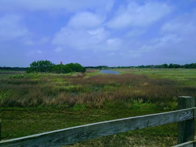 Whitney Lake Marsh Wildlife Refuge - Image 1