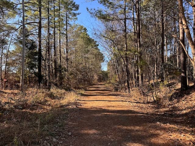Buckeye Cove Nature Preserve - Cashion Entrance - Image 1
