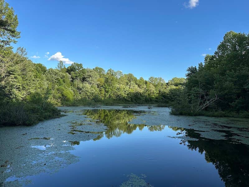 Sloan's Crossing Pond Trailhead - Image 1
