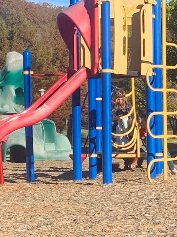 Charleston City Park - Image 1