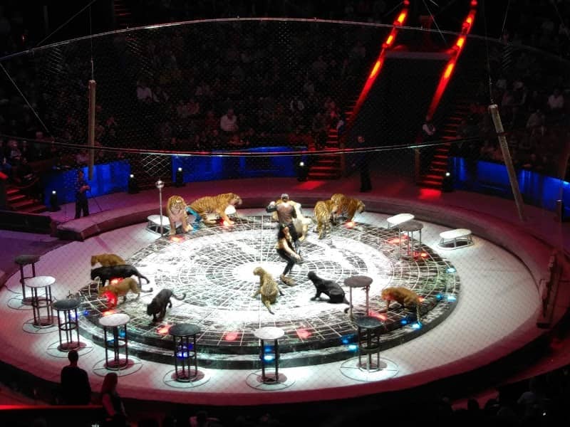 Great Moscow State Circus - Image 1