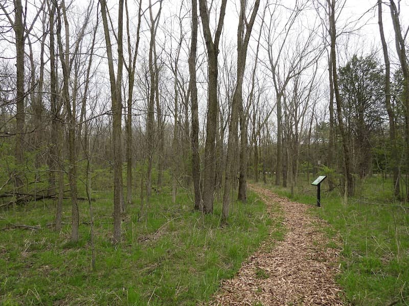 Dodge Woods - Image 2