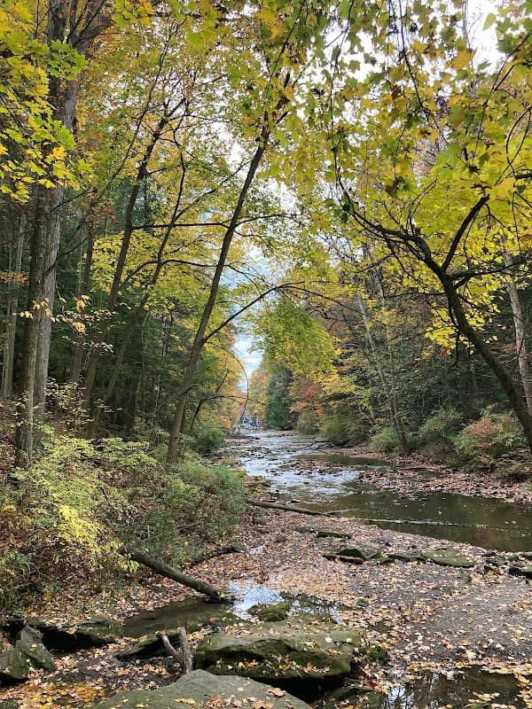 Mill Creek Metro Parks - Image 2