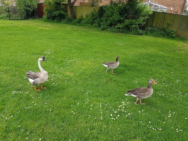 Black Ash Park - Image 1