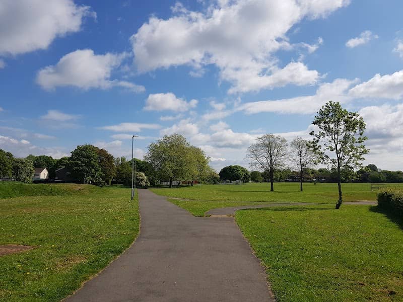 Black Ash Park - Image 2