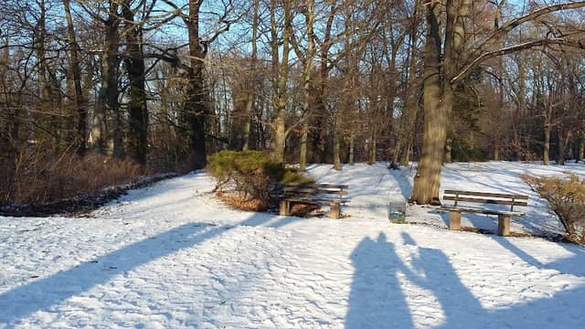 Aussichtsplattform Stadtpark Spremberg - Image 2