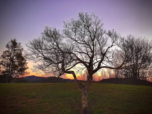 Judd's Peak - Image 2