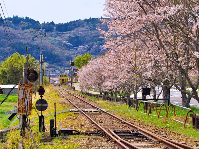 Yanaharafureaikozan Park - Image 1