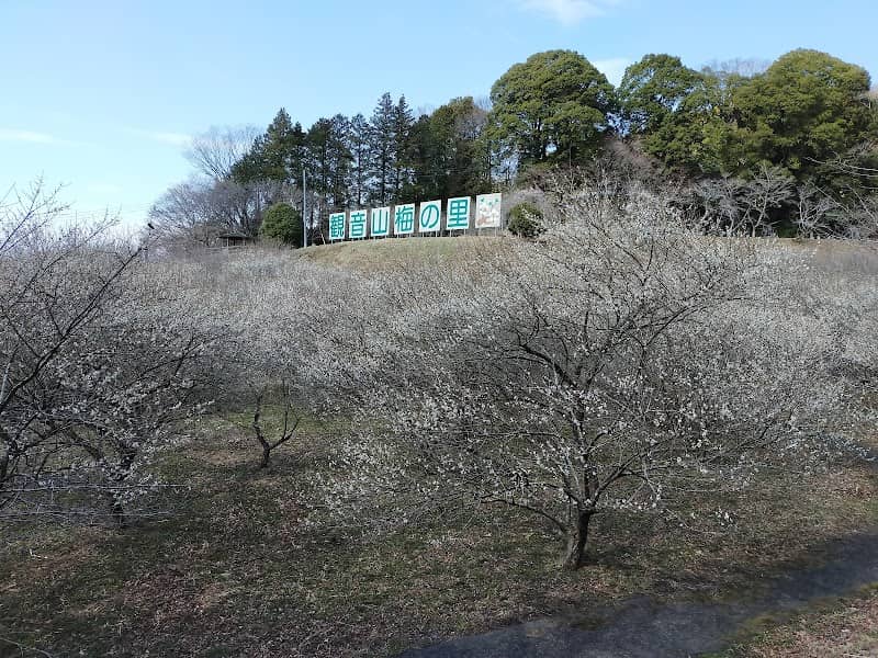 Kannonyama Plum Grove - Image 1