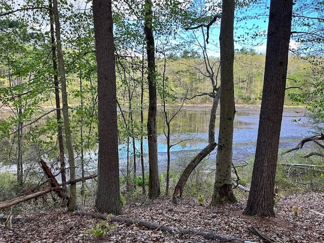 Mass Audubon's Eagle Lake Wildlife Sanctuary - Image 2