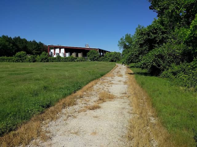 Leake Mounds Interpretive Trail - Image 2