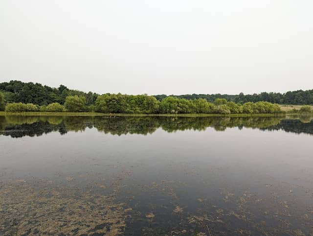 Slate Run Metro Park Wetlands - Image 1