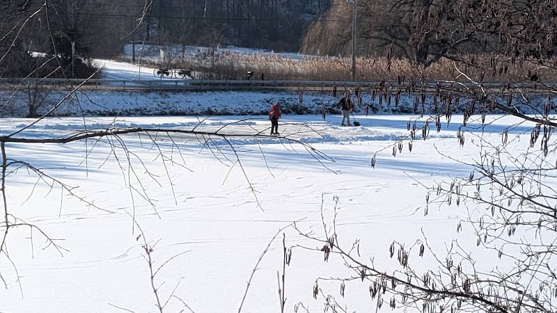 Lions Park pond - Image 1