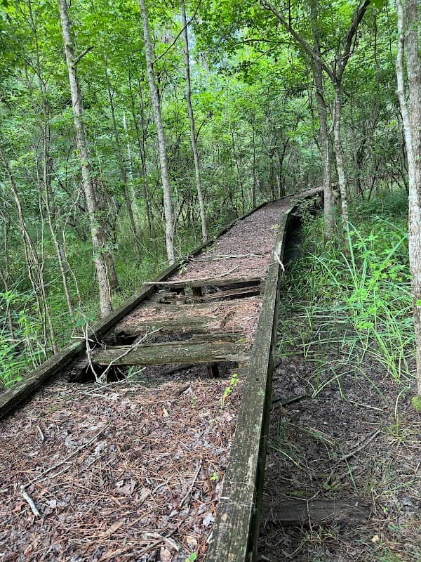 LeConte-Woodmanston Plantation and Botanical Gardens - Image 2