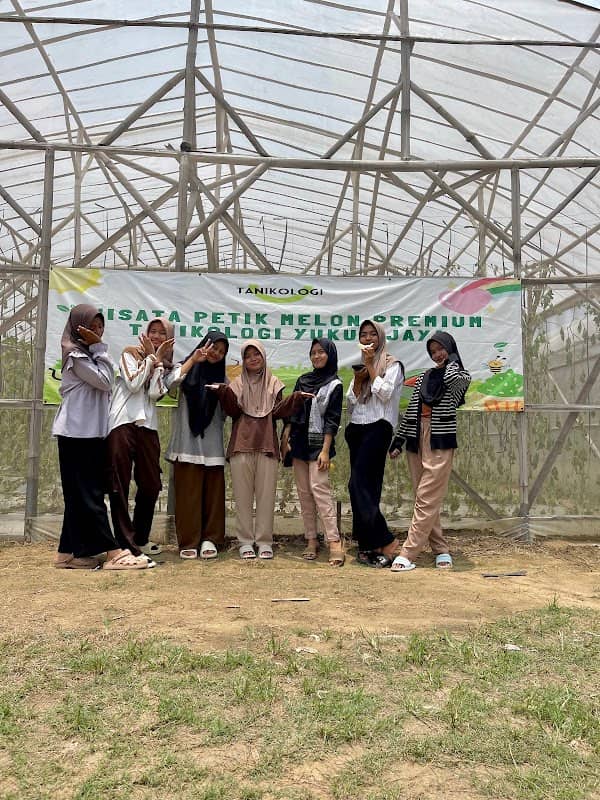 Kebun Melon Tanikologi Yukum Jaya - Image 1