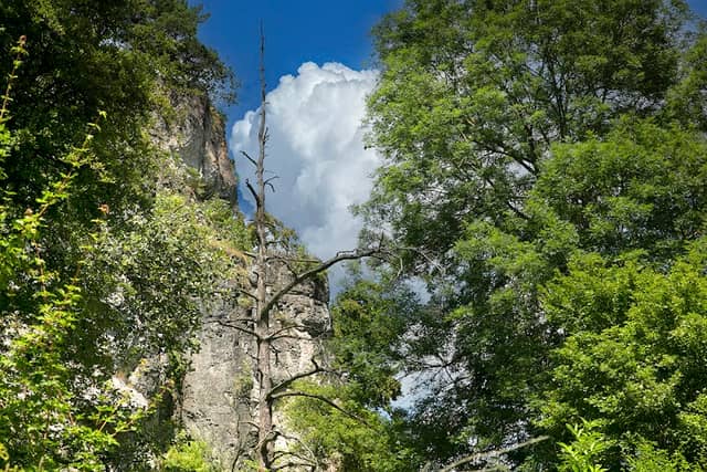 Hohenfels Lookout - Image 1