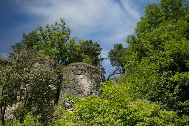 Hohenfels Lookout - Image 2