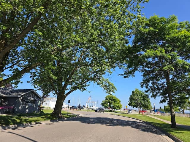 Bay View Park - Image 2