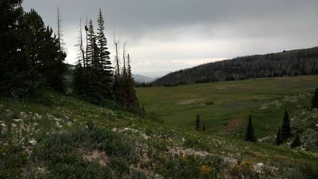 Snow Lake - Image 2