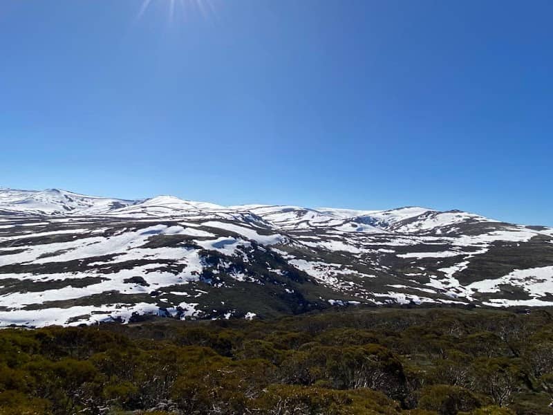Snowy Mountains - Image 1
