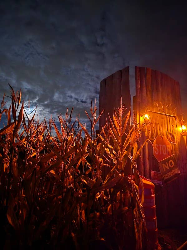 Field of Screams - Image 1
