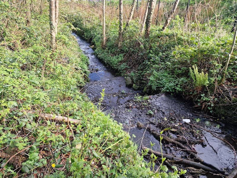 Largantogher Walkway - Image 1