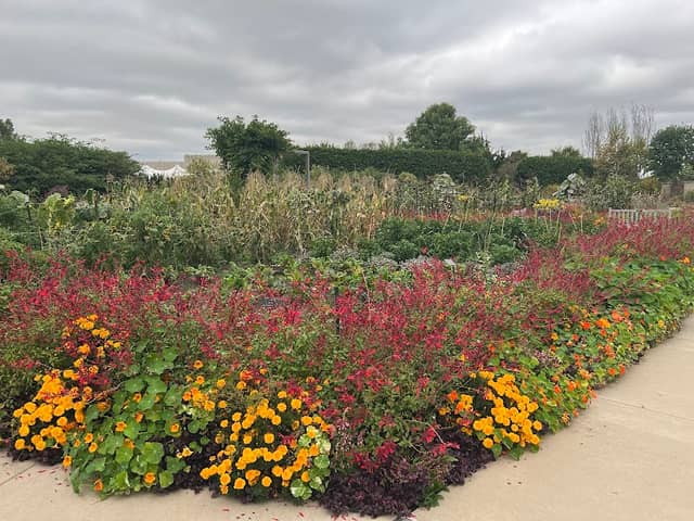 Arboretum Entrance - Image 2