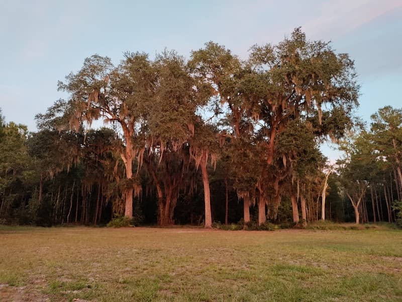 Harriett's Bluff Community Park - Image 2