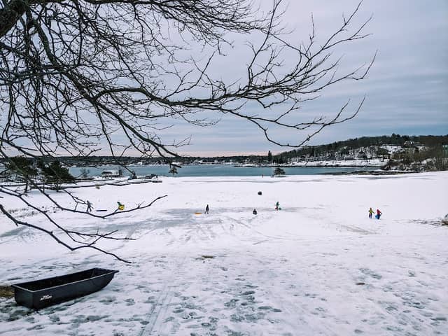Snow Marine Park - Image 2