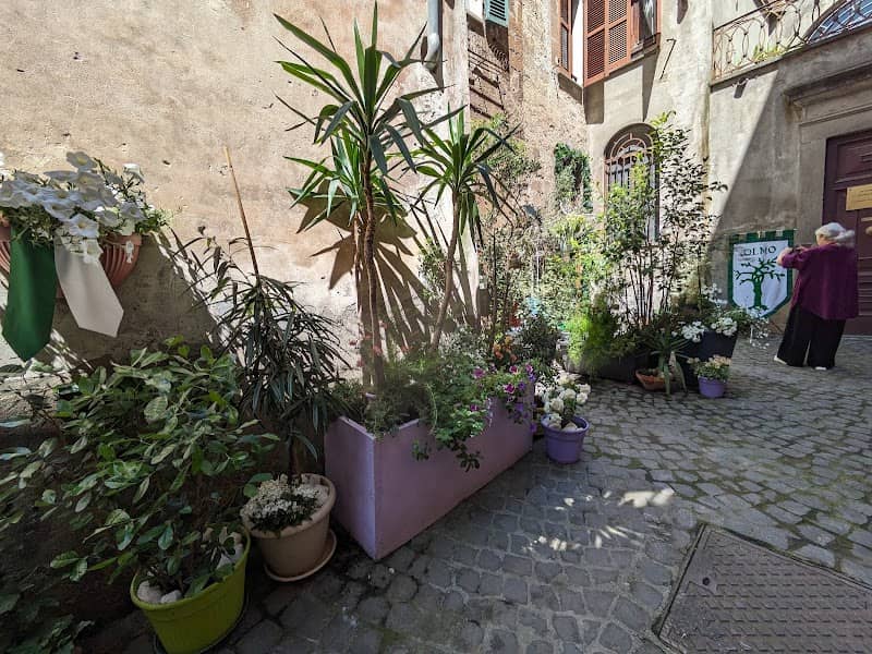 Vicolo - Image 3