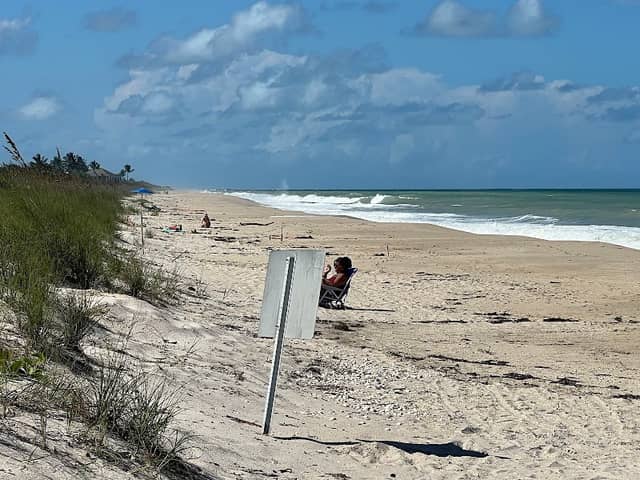 Treasure Shores Park - Image 1
