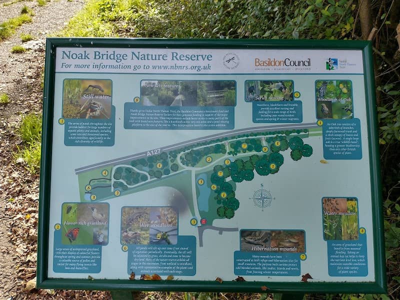 Noak Bridge Nature Reserve - Image 2