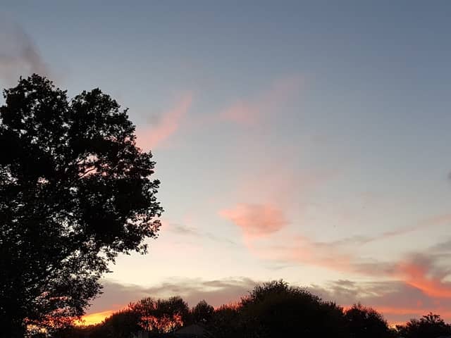 Brushy Bayou Park - Image 2