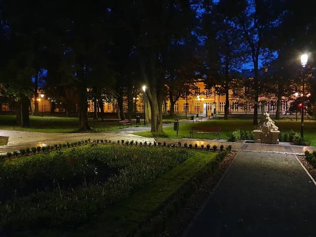 Aleksandria - Pomnik Przyrody - Image 1