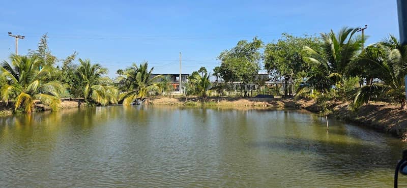 Suan Sawan Organic Fish Farm - Image 1