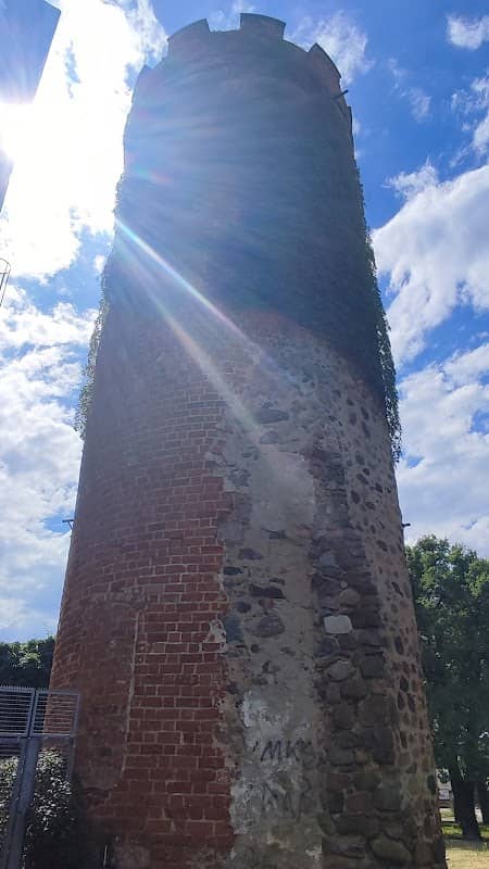 Bullenturm - Image 5
