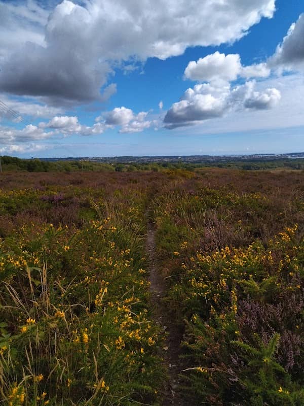 Lesley's Heath - Image 1