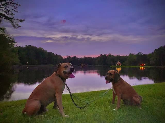 Lake Pendleton - Image 1