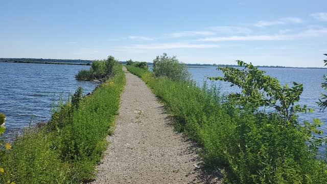 Terrell's Island - Image 1